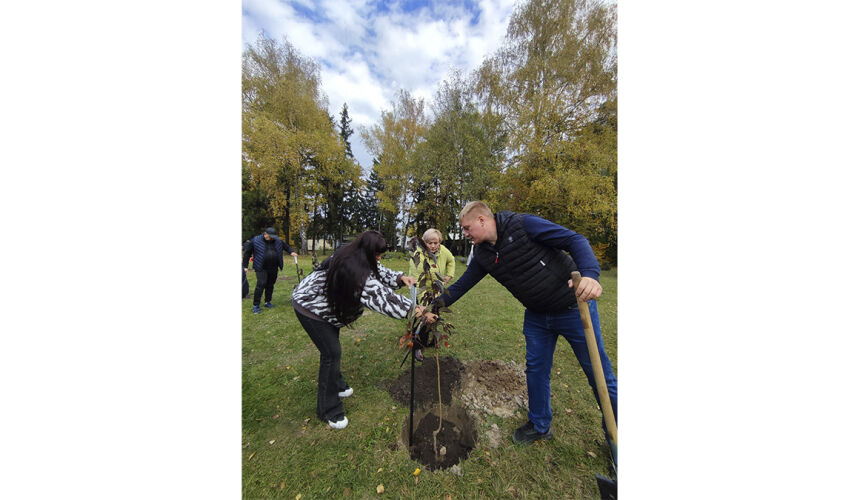 Висадження Алеї сакур